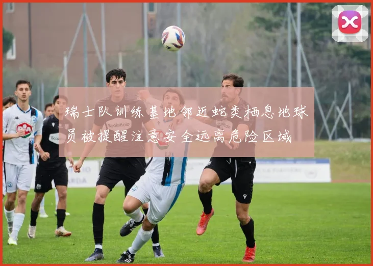瑞士队训练基地邻近蛇类栖息地球员被提醒注意安全远离危险区域