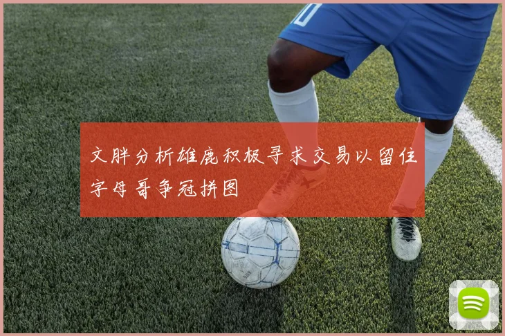 文胖分析雄鹿积极寻求交易以留住字母哥争冠拼图